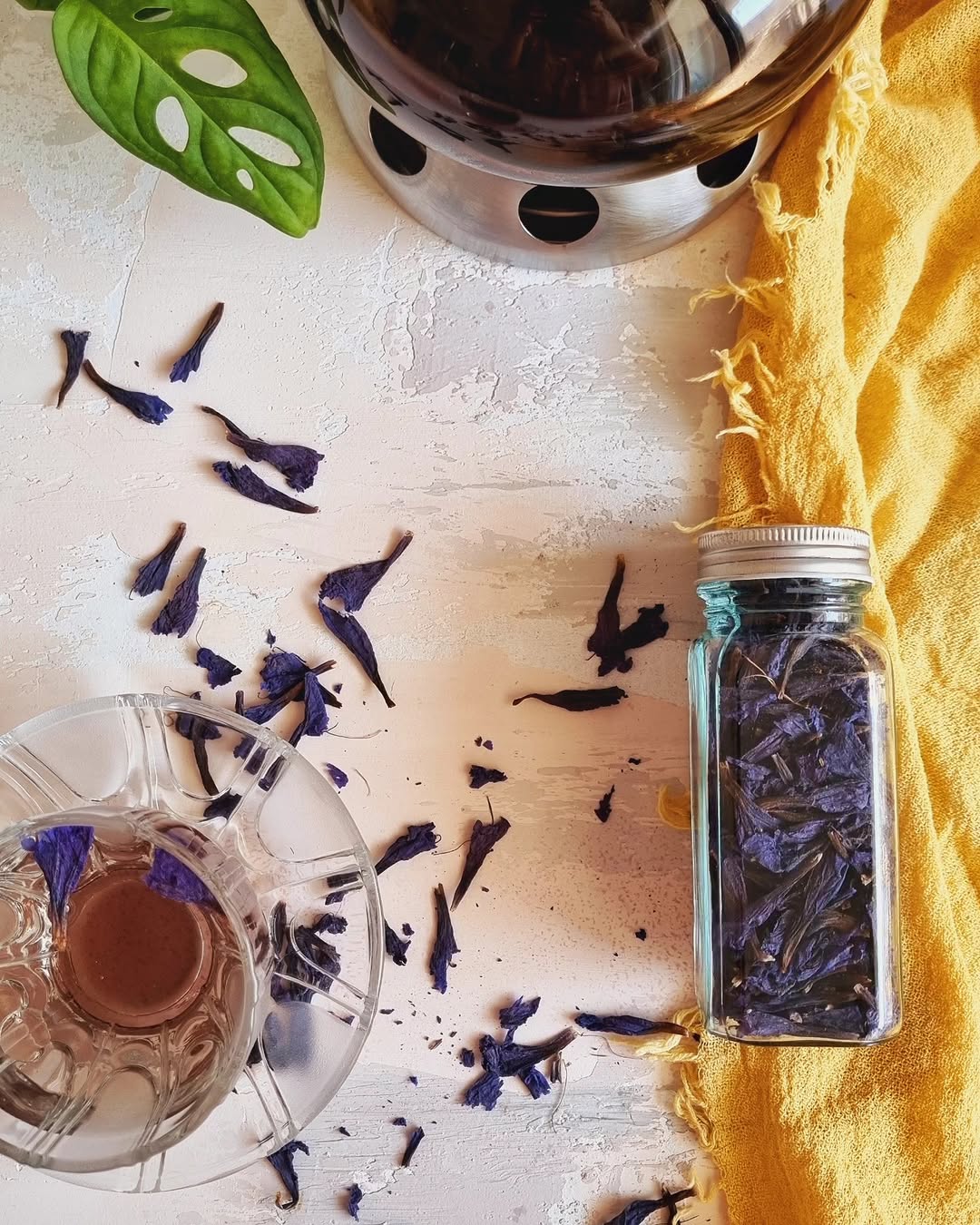 گل گاوزبان دمنوش